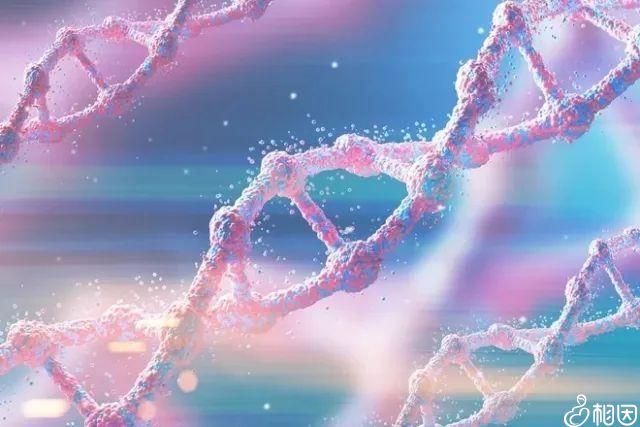 47岁月经不规律是怎么回事总是提前 47岁月经不规律是怎么回事